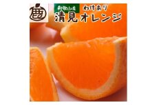 ［先行予約］家庭用 清見オレンジ5kg+250g（傷み補償分）［光センサー食頃出荷］［樹上完熟きよみオレンジ・清見タンゴール・清美］［わけあり・訳あり］［IKE143］