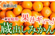 家庭用 蔵出しみかん5kg+250g（傷み補償分）［2026年1月中旬から2026年2月下旬頃順次発送予定］［IKE242］