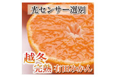 ＜1月中頃より発送＞ 家庭用 越冬完熟みかん 5kg+150g（傷み補償分） ハウスみかん 訳あり わけあり 光センサー選果［IKE191］
