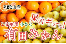 家庭用 小さな有田みかん2.5kg+250g（傷み補償分）［2025年10月上旬から2026年1月下旬頃順次発送予定］［IKE246］