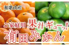 家庭用 有田みかん5kg+250g（傷み補償分）［2025年10月上旬から2026年1月下旬頃順次発送予定］［IKE247］