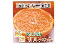 ＜11月中旬～1月下旬発送＞ 樹上完熟 有田みかん 8.5kg+255g（傷み補償分） 光センサー選果 ［IKE159］