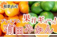 プレミアム 有田みかん2.5kg+250g（傷み補償分）［2025年10月上旬から2026年1月下旬頃順次発送予定］［IKE251］
