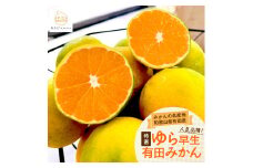 ［先行予約］特選 ゆら早生有田みかん約5kg［2025年10月上旬より発送］［サイズ混合］［MS25］