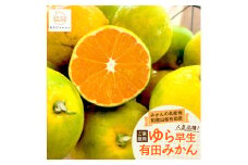 ［先行予約］ご家庭用ゆら早生有田みかん約10kg［2025年10月上旬より発送］［訳あり］［MS28］