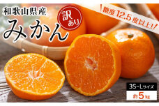 和歌山県産 糖度12.5度 以上 訳ありみかん5kg 3S ～L サイズ混合【NY5w】