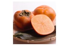 ＜10月より発送＞たねなし柿 約4kg［刀根早生・平核無柿（ひらたねなしかき）］［カキ・種無柿・種無し柿・種なし柿・無核柿］［IKE96］