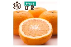 ［先行予約］厳選 甘夏柑10kg+250g（傷み補償分）［初夏のみかん・旬の果物］［有田産］［光センサー食べ頃出荷］［IKE73］