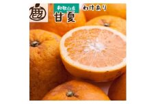 ［先行予約］家庭用 甘夏柑5kg+250g（傷み補償分）［初夏のみかん・旬の果物］［有田産］［光センサー食べ頃出荷］［わけあり・訳あり］［IKE75］