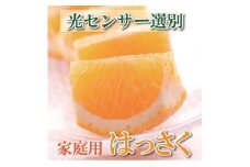 ＜4月より発送＞ 家庭用 樹上完熟 はっさく5kg+150g（傷み補償分） 八朔 訳あり わけあり さつき 木成 ［IKE35］