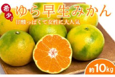 ◆先行予約◆甘酸っぱくて女性に大人気の希少なゆら早生YN-26みかん 約10kg／赤秀【2023年9月中旬以降出荷】