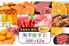 【魚鶴商店厳選！】人気の海幸山幸食べ比べ【定期便全12回】セットA【UT109】