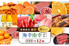 【魚鶴商店厳選！】人気の海幸山幸食べ比べ【定期便全12回】セットB【UT110】
