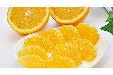 ご家庭用八朔（はっさく）約15kg【2024年1月20日～発送】