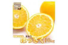 【訳あり】はっさく 和歌山産 八朔 10kg 【ご自宅用・サイズ不揃い・キズ等あり】