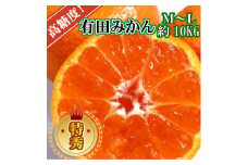 有田みかん［特秀品M~L、高糖度］約10kg!［2025年10月から12月下旬頃順次発送］