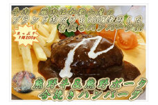 和歌山県が育んだ純国産ブランド！熊野牛&熊野ポーク合挽きハンバーグ4個入り
