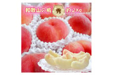 【秀品】和歌山ブランド白桃 約2kg！ ギフト 贈答品にも! 2025年7月発送分
