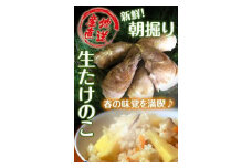 たけのこ 和歌山県産 朝堀り筍 約2kg ぬか付き
