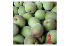 和歌山県産 紀州南高梅 青梅 秀品 5kg（3L以上〜Lサイズ混合）