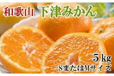 【産直・秀品】和歌山下津みかん約5kg(SサイズまたはMサイズのいずれかをお届け) ★2025年11月中旬頃より順次発送【TM73】
