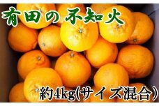 【濃厚】有田産不知火約4kg（2L～5Lサイズ混合）★2025年2月上旬頃より順次発送【TM37】