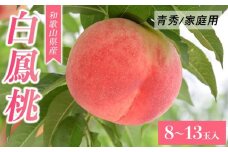 和歌山県産 白鳳 桃  8-13玉入り ご家庭用 青秀【2024年6月下旬より順次発送】