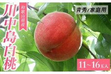 和歌山県産 川中島白桃 桃 白桃 11-16玉入り ご家庭用 青秀【2024年8月上旬より順次発送】