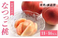 和歌山県産 なつっこ 11-16玉入り ご家庭用 青秀【2024年7月中旬より順次発送】