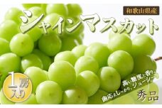 シャインマスカット 1房（600g以上）［2025年8月中旬以降出荷］［MG24］