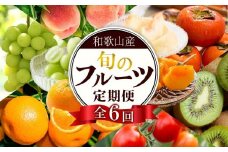 和歌山の旬の果実を 奇数月にお届け全6回定期便【TM49】