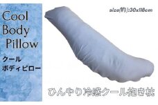 《ひんやり冷感素材カバー付き 抱き枕 クール》クール抱き枕BL