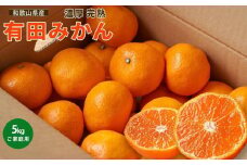有田育ちの ご家庭用 有田みかん 5kg 農家直送 先行予約 わけあり【12月上旬～1月中旬発送】