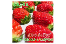完熟まりひめいちご 12～18粒×2トレイ(約700g)【先行予約】【農家直送】【和歌山ブランド苺】【大人気】
