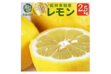 秀品　紀州有田産レモン　2.5kg［2026年3月上旬以降発送］［先行予約］［UT45］