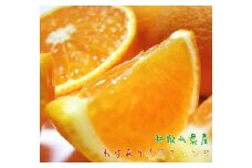 有田育ちの 完熟 清見 オレンジ（ご家庭用）約3kg［先行予約］［MS32］
