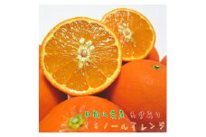 わけあり セミノールオレンジ 7.5kg【農家直送】【和歌山県産】【訳あり】【先行予約・2025年4月上旬～4月下旬発送】