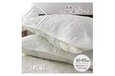 『和』【Mサイズ43×63cm】脱脂綿入り紀州晒ガーゼまくらパッド2枚組  ホワイト H74-4363-2P