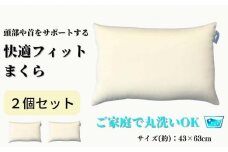 《ご家庭で丸洗い 快適フィット 枕 2個セット》もっちり枕2個