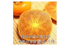 厳選　紀の川柿　２Ｌサイズ/15玉入り　赤秀品 (fr-05)　【秋の美味】【和歌山ブランド】