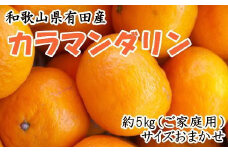 【ご家庭用】【濃厚春みかん】和歌山県有田産カラマンダリン約5kg（サイズおまかせ）2025年4月より順次発送 【TM141】