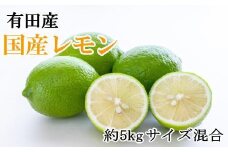 有田産の安心国産レモン約5kg （サイズ混合）★2025年10月下旬頃より順次発送［TM15］