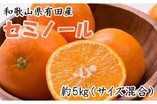 和歌山有田産セミノールオレンジ約5kg(サイズ混合)★2025年４月中旬頃より順次発送【TM53】