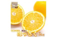 【訳あり】 和歌山産 八朔 5kg 【ご自宅用・サイズ不揃い・キズ等あり】