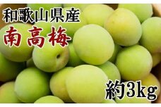 ［和歌山名産］南高梅約3kg（サイズ混合）・秀品［2026年6月より順次発送］［TM175］