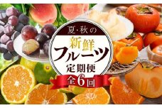 【定期便全6回】夏・秋の新鮮フルーツ定期便 ［TM203］