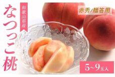 和歌山県産 なつっこ 桃 5-9玉入り 赤秀 贈答 ギフト【2024年7月中旬より順次発送】【MG8】