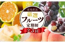 【定期便全3回】産直・厳選フルーツ定期便【TM190】