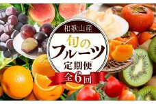 和歌山の旬の果実を 奇数月にお届け全6回定期便（キウイ・清見オレンジ・ミニトマト・桃・ピオーネ・富有柿）【TM62】