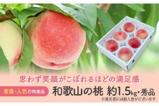 【産直・人気の特産品】和歌山の桃 約1.5kg★2025年6月下旬から8月中旬頃順次発送★【TM92】